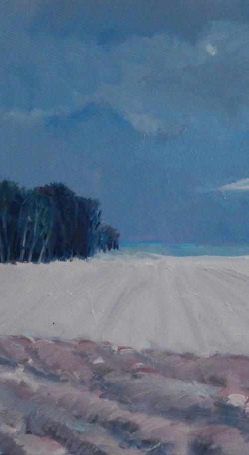 Winter, Fife by Stephen Howard Harrison
