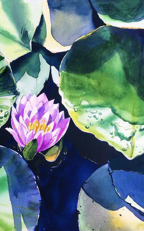 Water Lilies from Parc Bertrand by Ksenia Astakhova