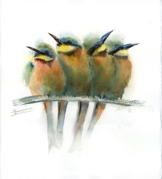 Four bee-eater birds on a branch