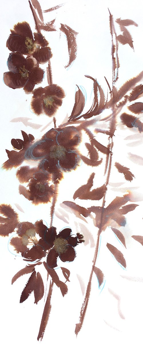 Brown flowers by Ksenia Lutsenko
