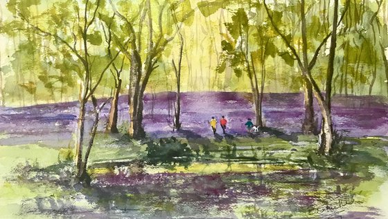 Bluebells at Arlington Woods