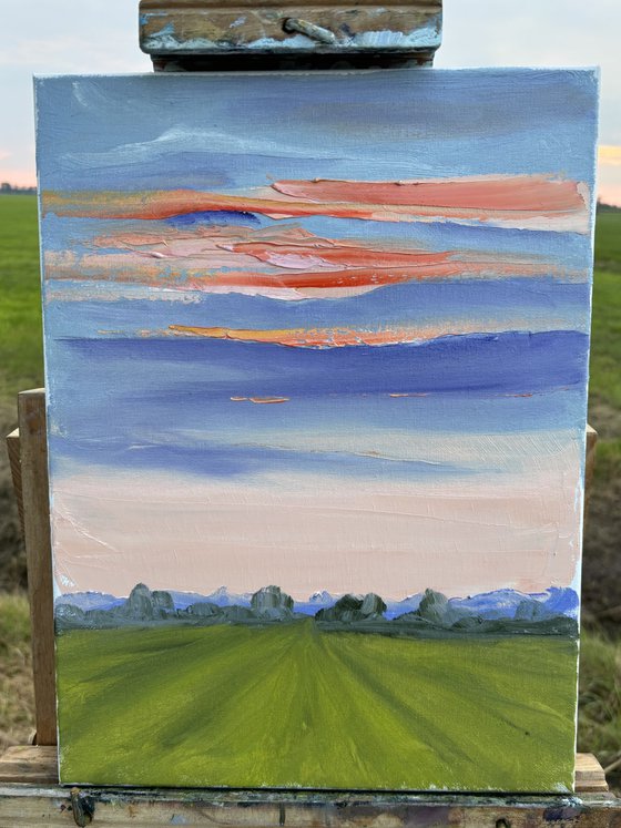Sunset over the field. Plein air