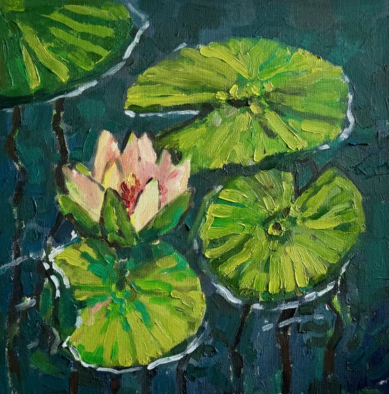 Water lilies