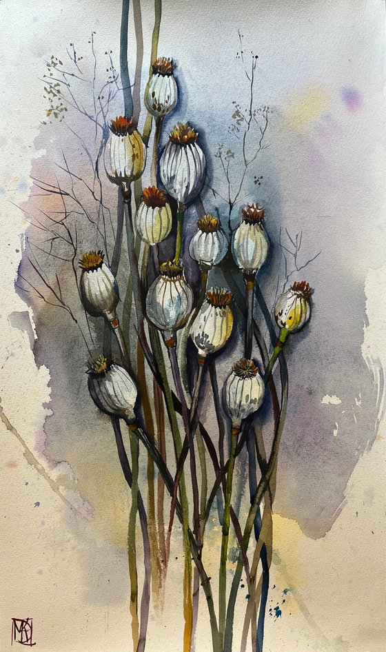 Dry Poppies