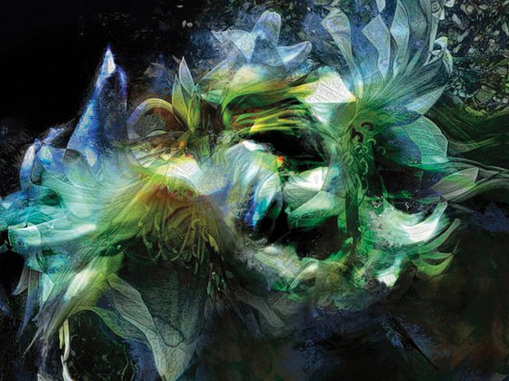 Flores blancas