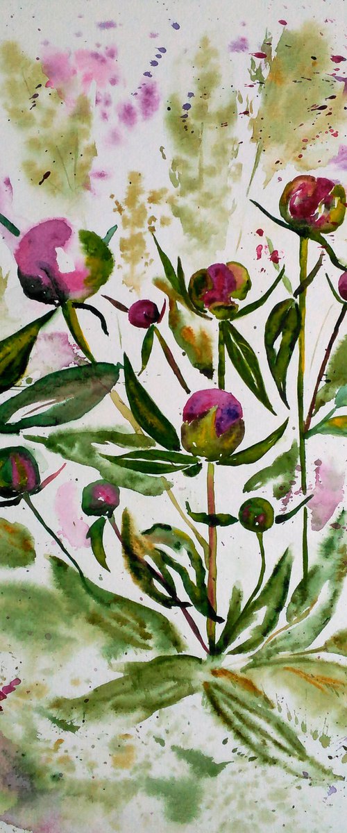 Peony buds original watercolor painting impressionistic purple peonies" Just before blooming" by Halyna Kirichenko