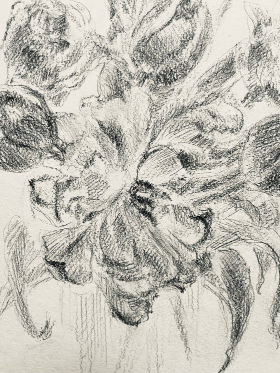 French tulips #2 . Original pencil drawing. 2020