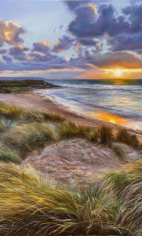 duinen by Farzaneh Maddahi