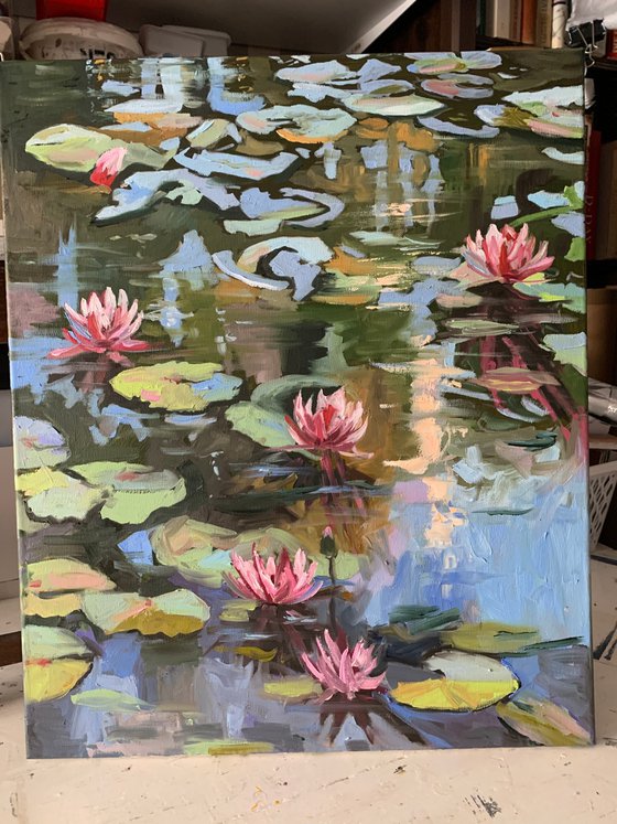 Pond with water lilies.