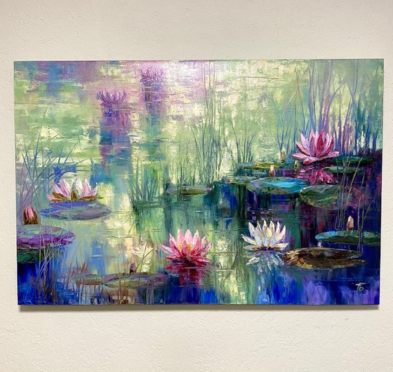 Pond Water lilies.