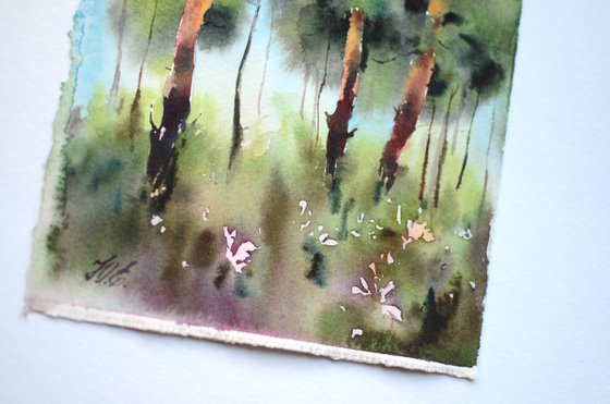 My Favorite Watercolor Painting Supplies — Forest Culture Design