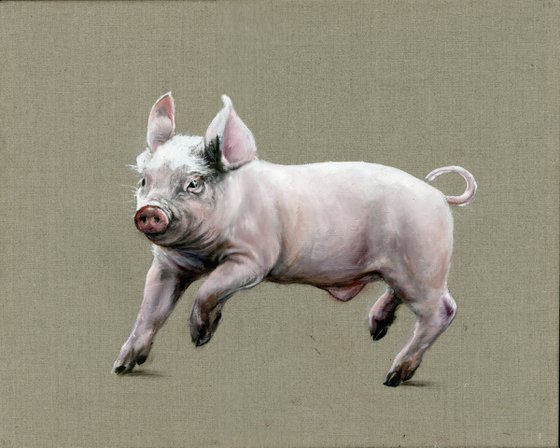 Pig