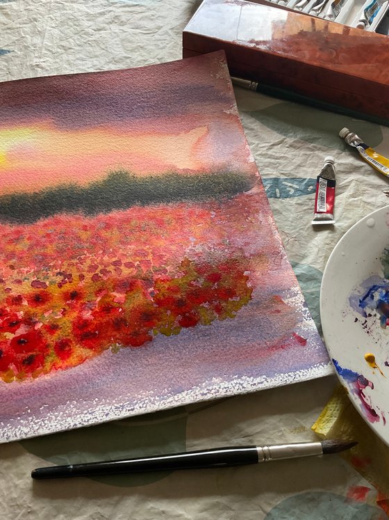 Sunset over poppies