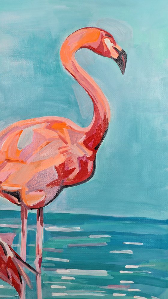 Flamingos