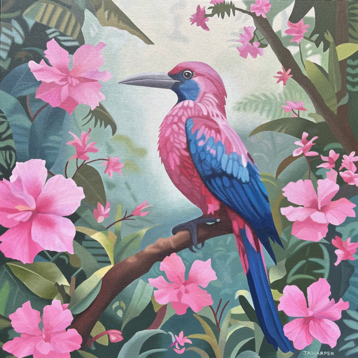 Photorealistic Animal Oil Painting By Jill Ann Harper, 18 X 18, Tropical Bird With Pink, Original Artwork