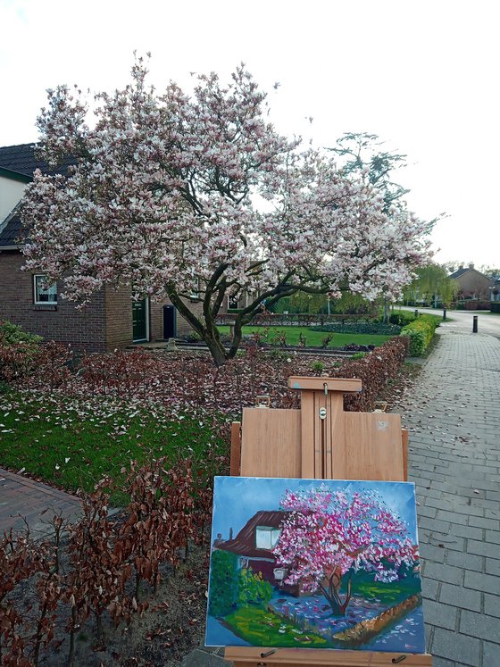 Blooming magnolia in Dalen. Plein Air