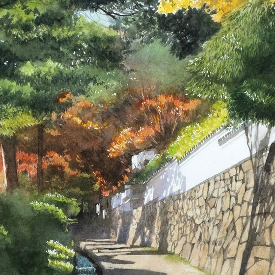 Sunlight through the Trees in Sakamoto, Shiga