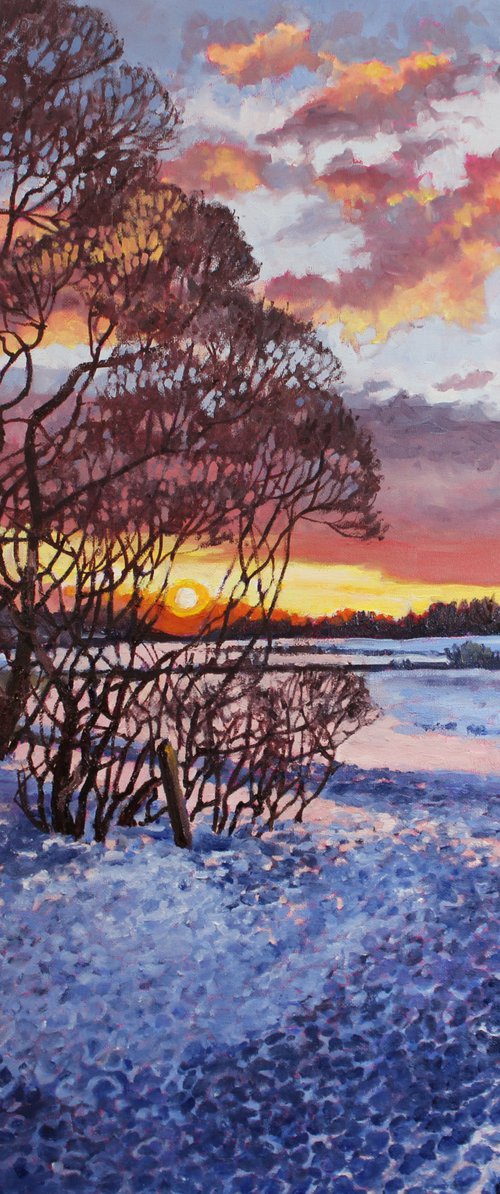 Winter Evening by Zoe Elizabeth Norman
