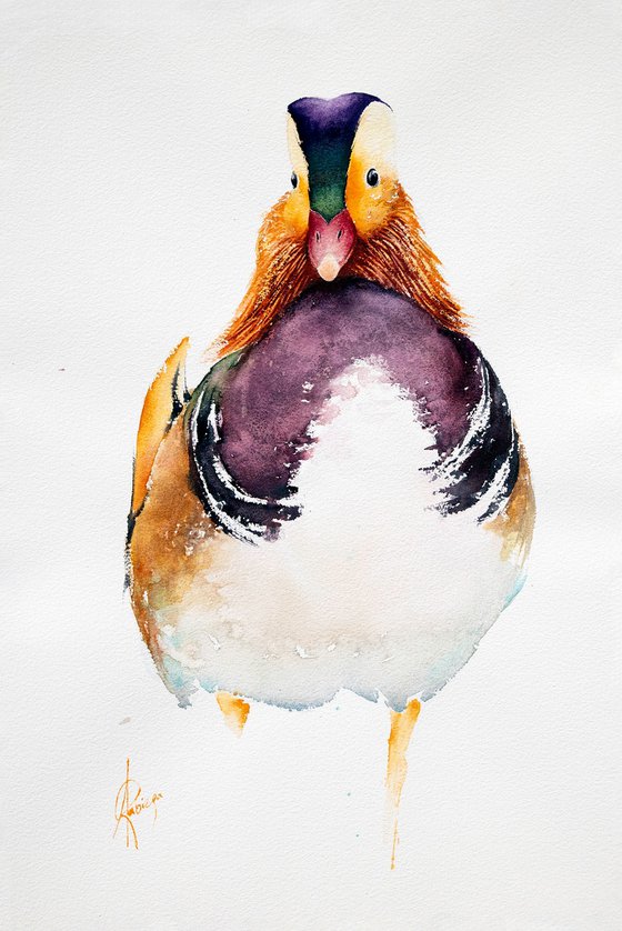 mandarin duck