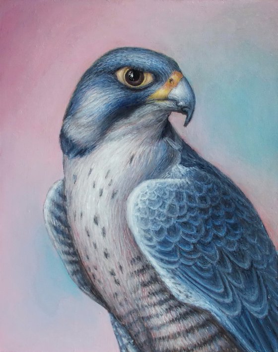"Falcon"