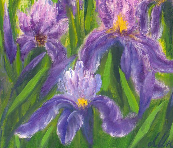 Irises