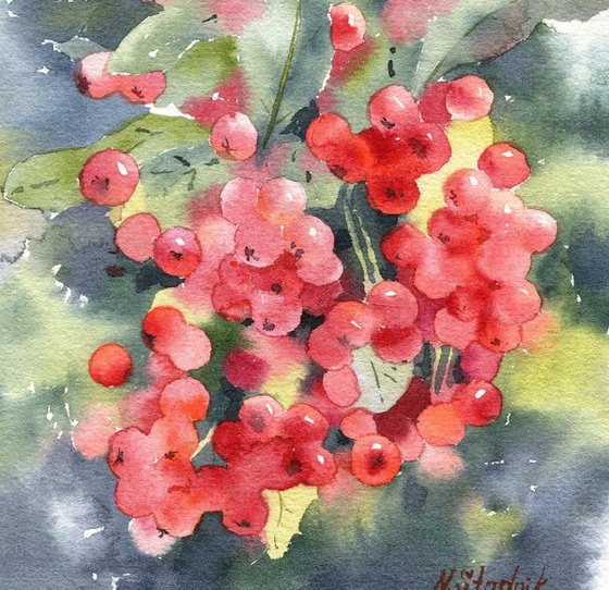 Ukrainian watercolour. Red berries