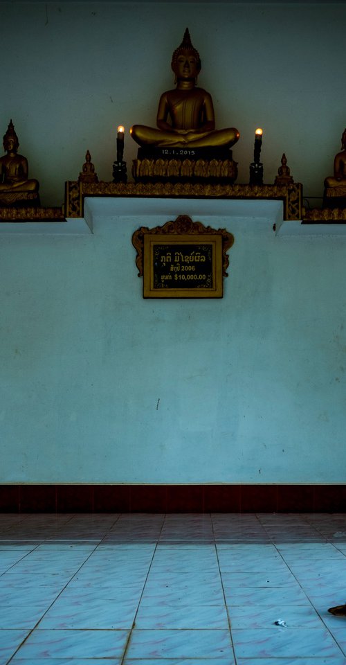 Temple Dogs of Laos No.7 by Serge Horta