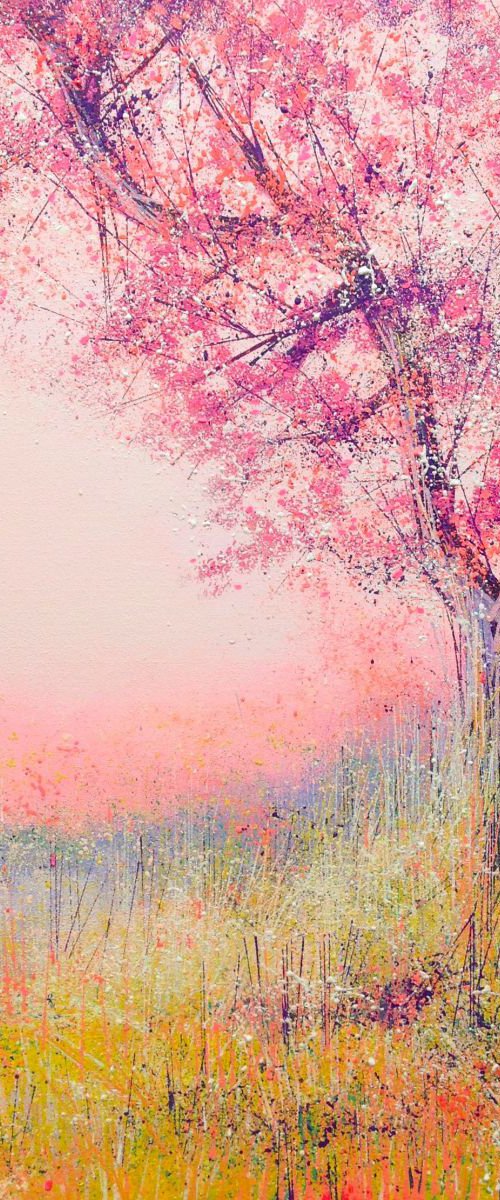 Cherry Blossom at Sunset by Marc Todd