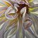 Dahlia by Elena