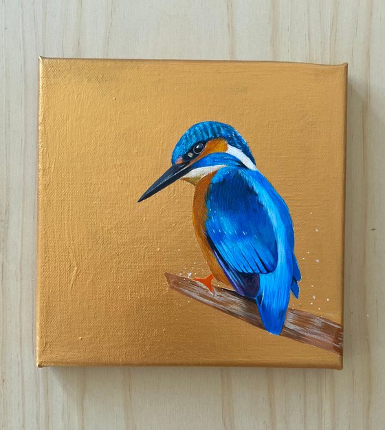 Kingfisher acrylic painting on gold background