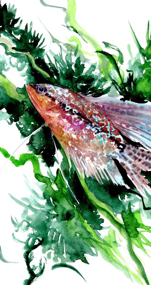 Pearl Gourami fish artwork by Suren Nersisyan