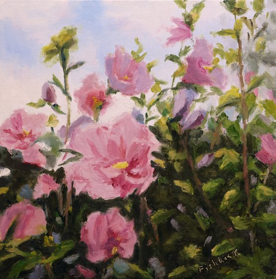 Purple Rose of Sharon Blossoms
