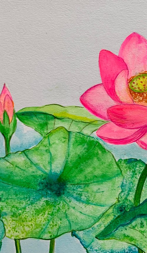 Lotus Bloom I ! A3 size Painting on paper by Amita Dand