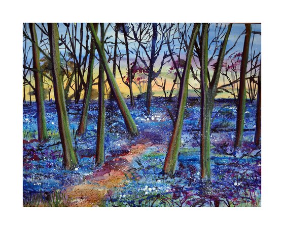 Hertfordshire Bluebells