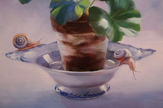 "Geraniums and snails"