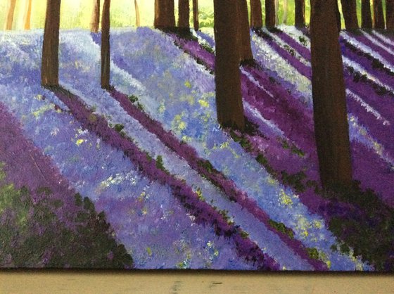 Purple sunshine