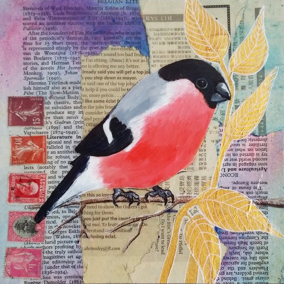 Bullfinch - Ornithology#1 - Framed ready to hang original painting