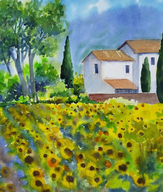 Golden Villa Sunflowers