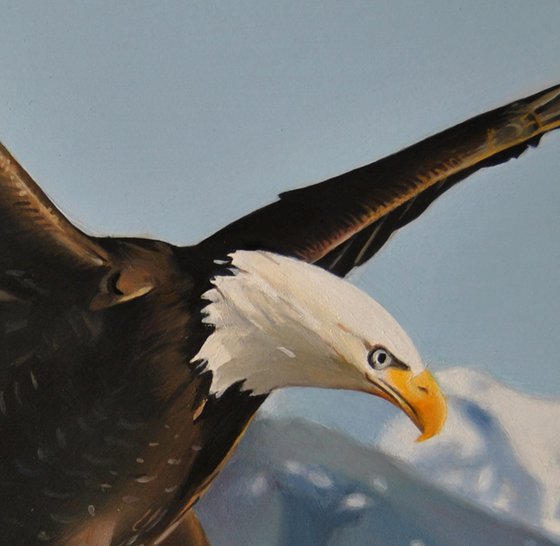 Eagle, Oil on canvas