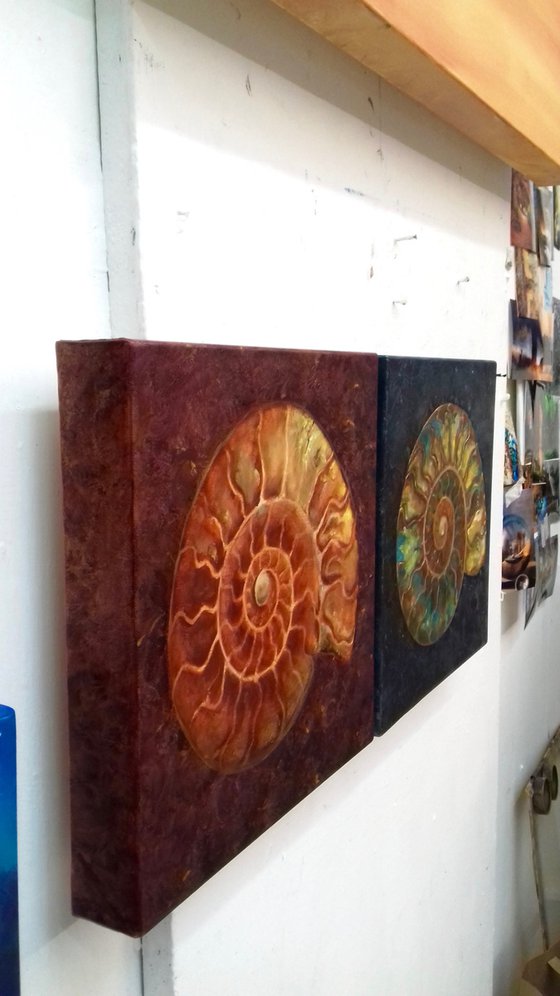 Gold and Green Ammonites