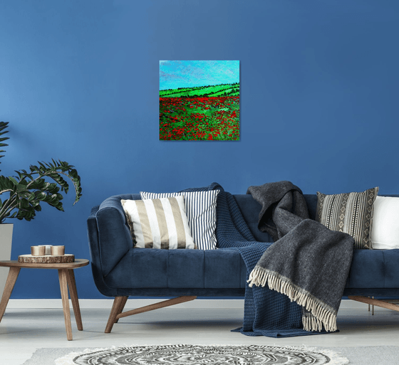 Hampshire Poppy field