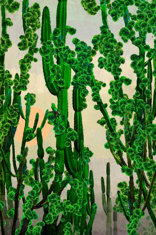 Cactus Sun by Nadia Attura