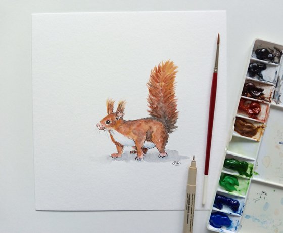 Cute Red Squirrel