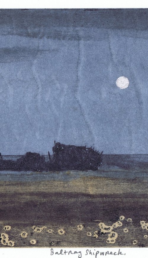 Baltray Shipwreck by Aidan Flanagan Irish Landscapes