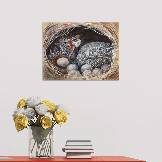 Guinea fowl in the nest.