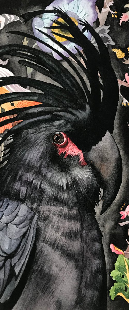 Palm Cockatoo by Lisa Lennon