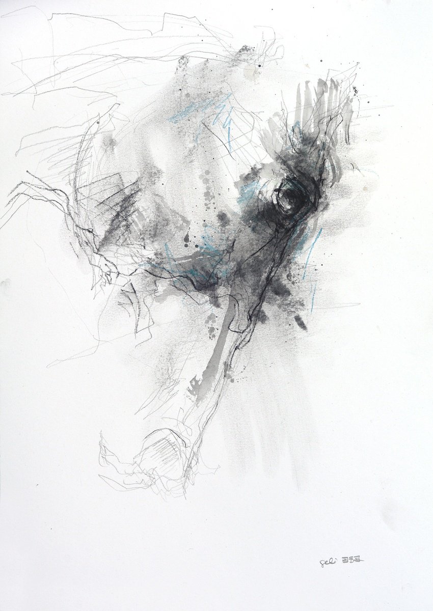 Expressive Animal Charcoal Drawing By Benedicte Gele, 12 X 17, Expression 25T, Original Artwork