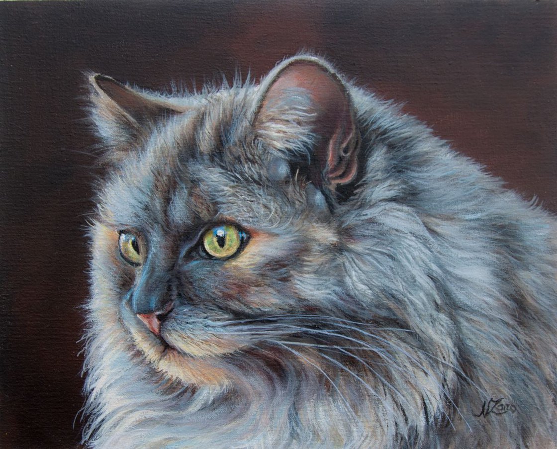 Portrait cat Acrylic painting by Norma Beatriz Zaro | Artfinder