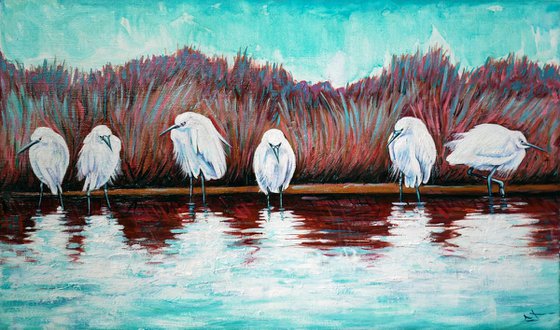 Egrets in Camargue