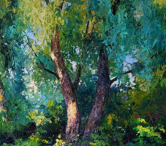 Willows in the summer forest